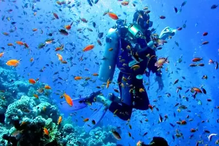 Snorkling trip to tiran island